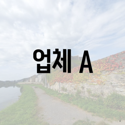 업체 A