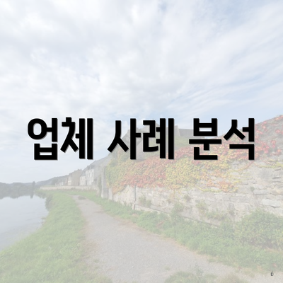 업체 사례 분석