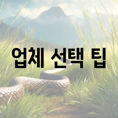 업체 선택 팁