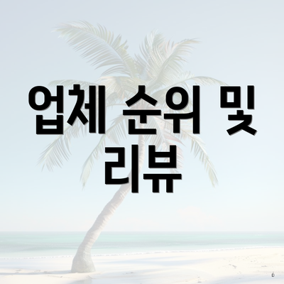 업체 순위 및 리뷰