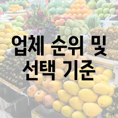 업체 순위 및 선택 기준