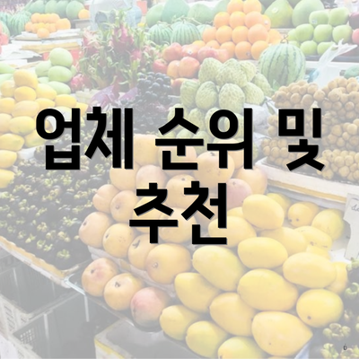 업체 순위 및 추천