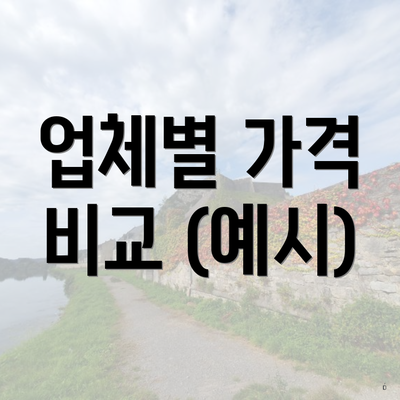 업체별 가격 비교 (예시)