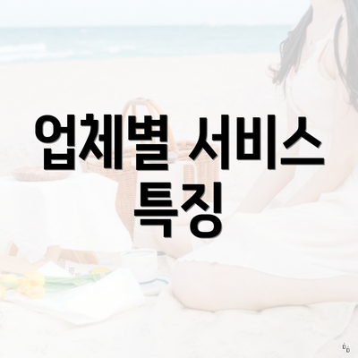 업체별 서비스 특징