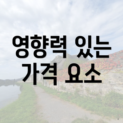 영향력 있는 가격 요소