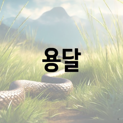 용달