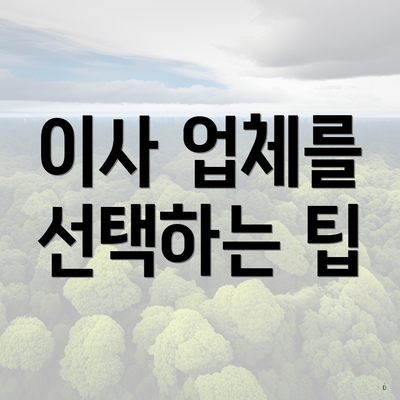 이사 업체를 선택하는 팁