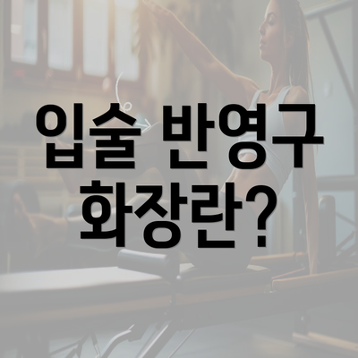 입술 반영구 화장란?