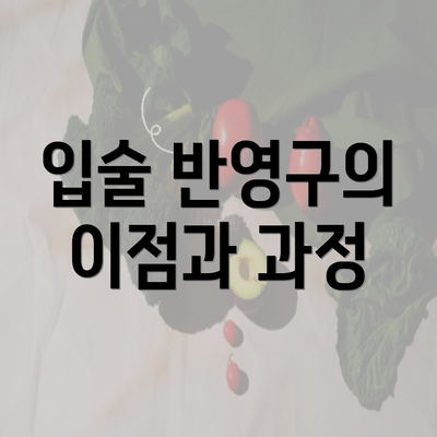 입술 반영구의 이점과 과정