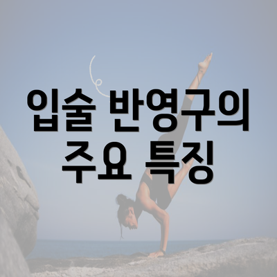 입술 반영구의 주요 특징