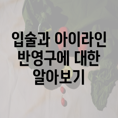 입술과 아이라인 반영구에 대한 알아보기