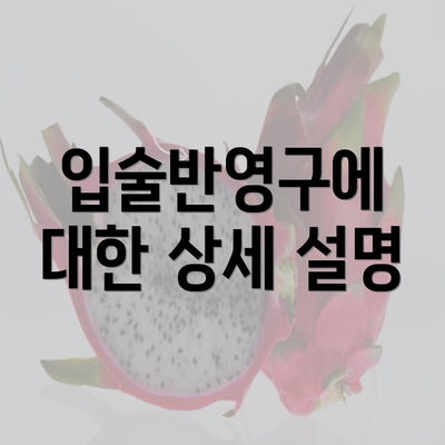 입술반영구에 대한 상세 설명