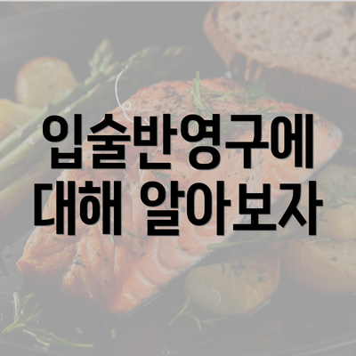 입술반영구에 대해 알아보자