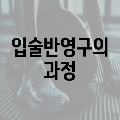 입술반영구의 과정