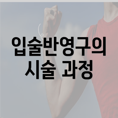 입술반영구의 시술 과정