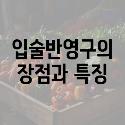 입술반영구의 장점과 특징