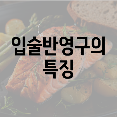 입술반영구의 특징