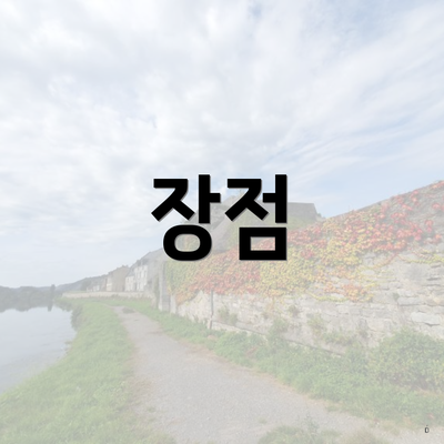 장점