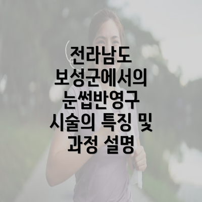 전라남도 보성군에서의 눈썹반영구 시술의 특징 및 과정 설명