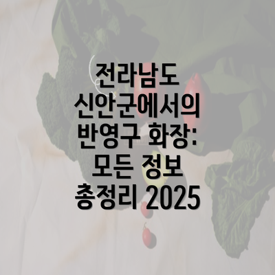 전라남도 신안군에서의 반영구 화장: 모든 정보 총정리 2025