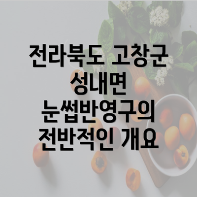 전라북도 고창군 성내면 눈썹반영구의 전반적인 개요