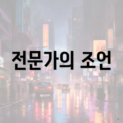 전문가의 조언