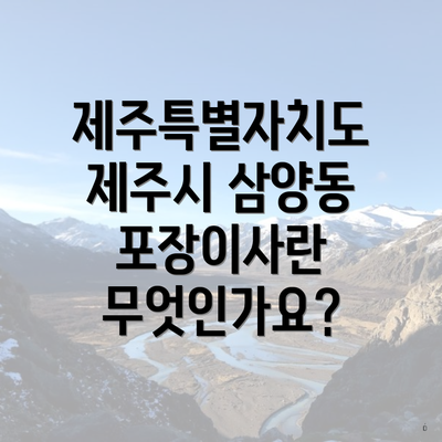 제주특별자치도 제주시 삼양동 포장이사란 무엇인가요?