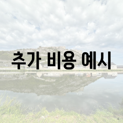 추가 비용 예시