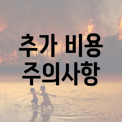 추가 비용 주의사항