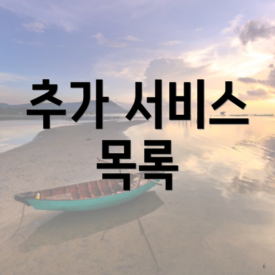 추가 서비스 목록