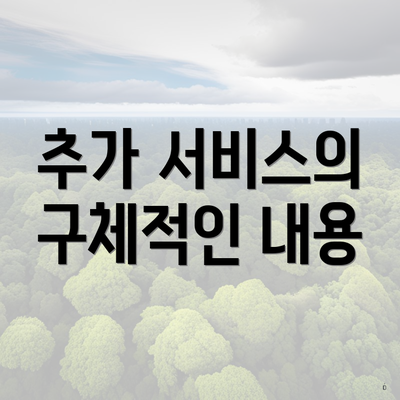 추가 서비스의 구체적인 내용