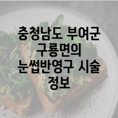 충청남도 부여군 구룡면의 눈썹반영구 시술 정보