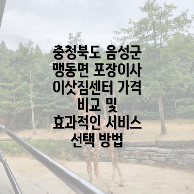 충청북도 음성군 맹동면 포장이사 이삿짐센터 가격 비교 및 효과적인 서비스 선택 방법