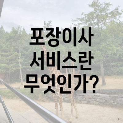 포장이사 서비스란 무엇인가?