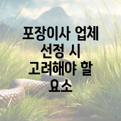 포장이사 업체 선정 시 고려해야 할 요소