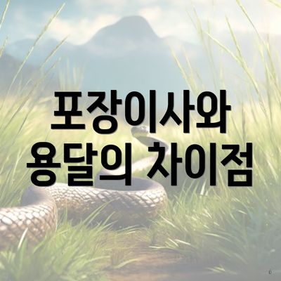 포장이사와 용달의 차이점