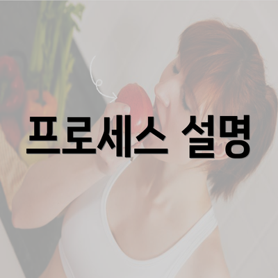 프로세스 설명