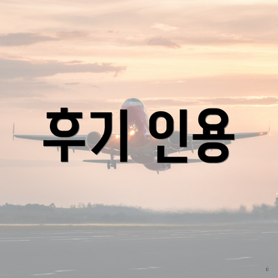 후기 인용