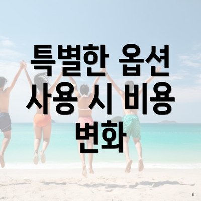 특별한 옵션 사용 시 비용 변화